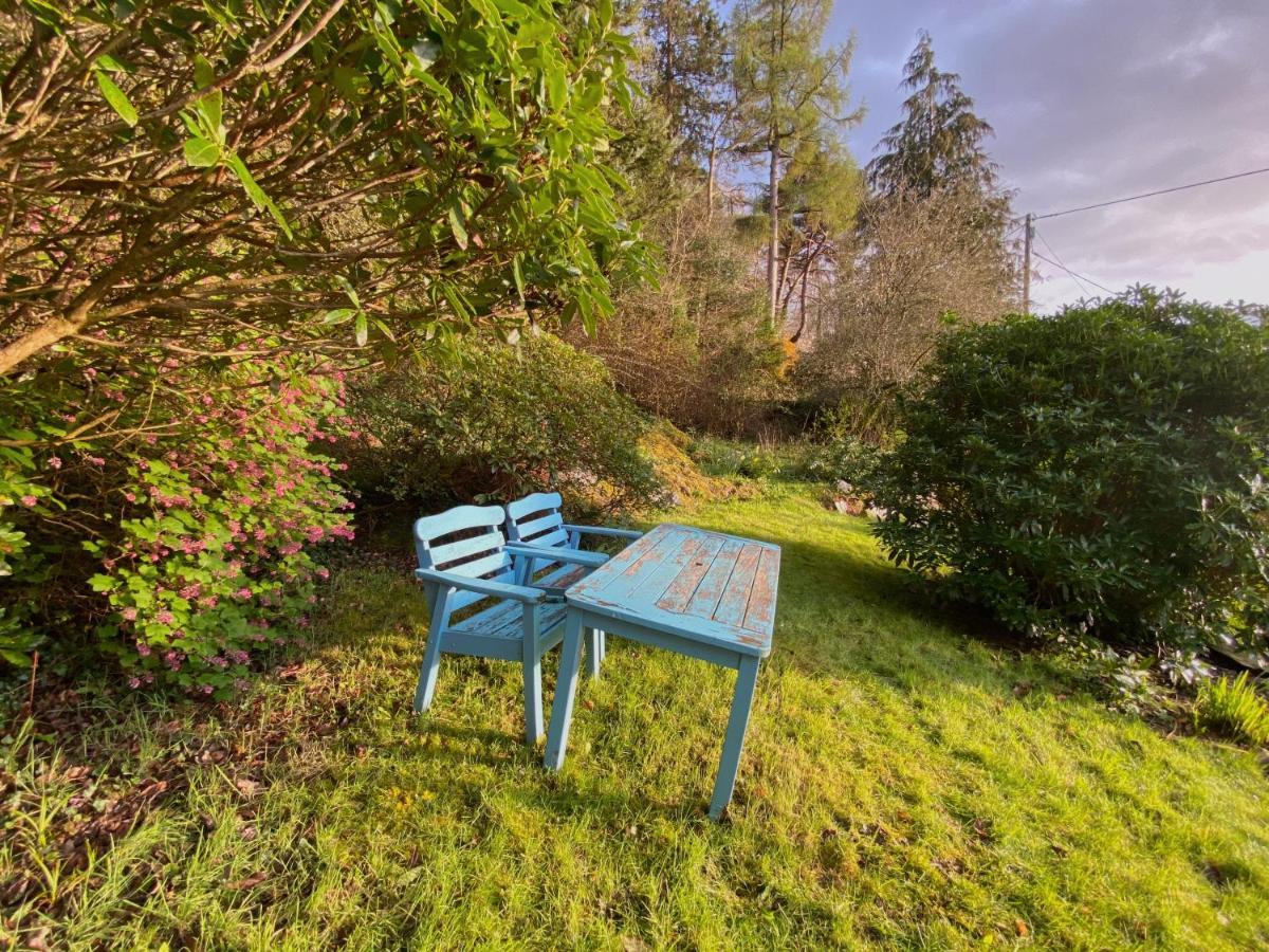 Tyn Y Fron 6 Bedroom House In Betws-Y-Coed Snowdonia Exterior photo